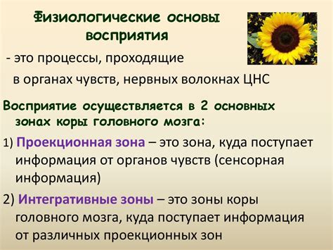 Роль образного восприятия в повседневной жизни