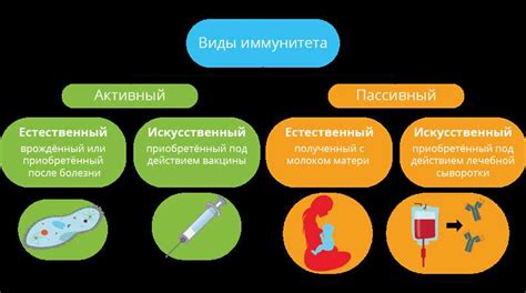 Роль общего иммунитета для организма