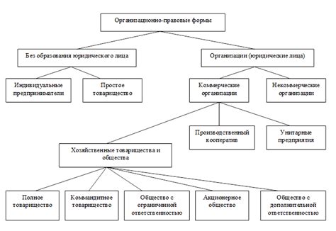 Роль организационно-правовой деятельности в экономике