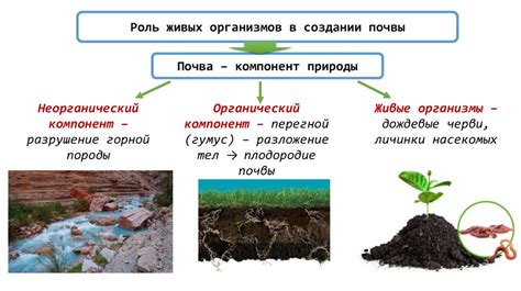 Роль осаживания в формировании осадочных пород