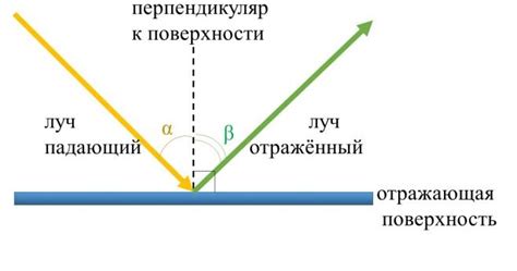 Роль отражения в природе