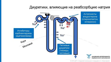 Роль петлевых диуретиков в лечении: