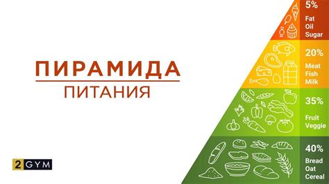 Роль питания в жизни человека