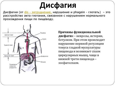 Роль пищевода в хроническом рефлюксе эзофагита