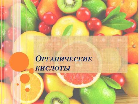 Роль пищевых продуктов и напитков в образовании запаха