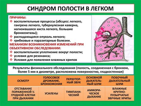 Роль пневматизации в работе легочной ткани