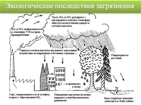 Роль почвы в поддержании экологического баланса