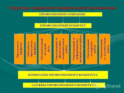 Роль президиума в организации