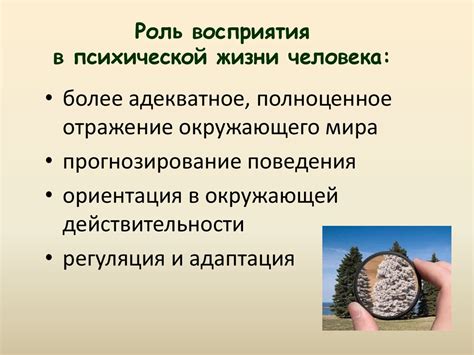 Роль психической активности в нашей жизни