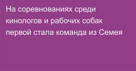 Роль рабочих собак в профессиональных спортивных соревнованиях