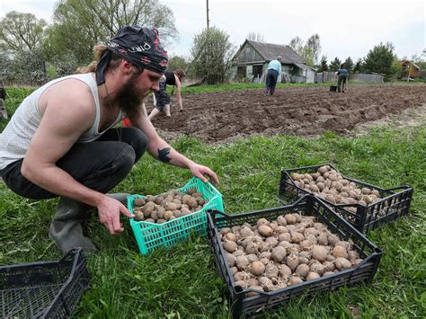 Роль садоводского посредника в садоводстве