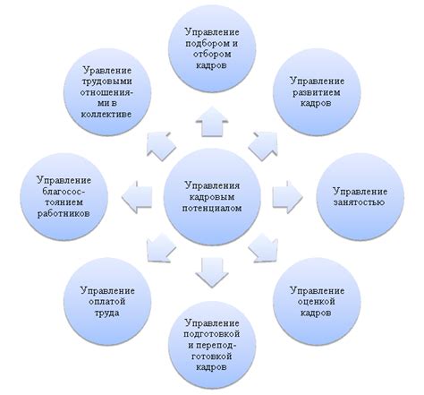 Роль сигма связи в управлении кадровым потенциалом компании