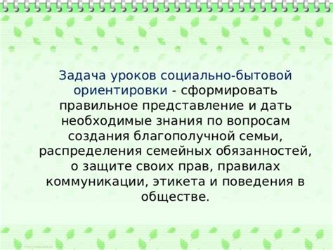 Роль социально бытовой ориентировки в обществе