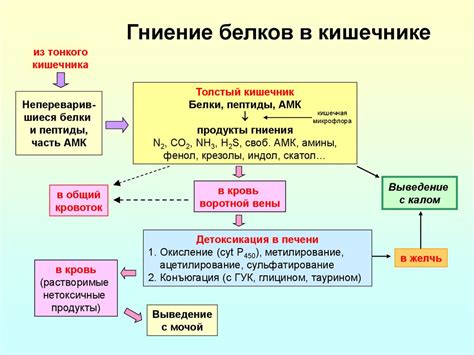 Роль специфических белков в биологических процессах