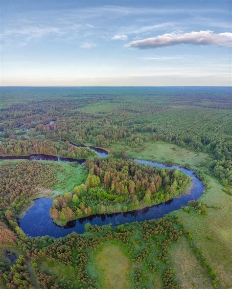 Роль стариц реки