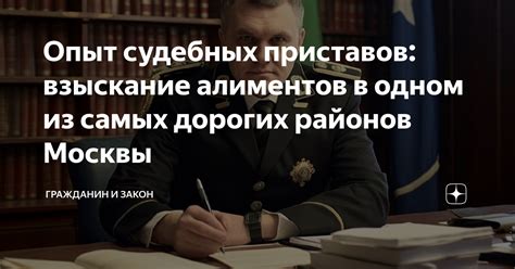 Роль судебных приставов в сборе алиментов