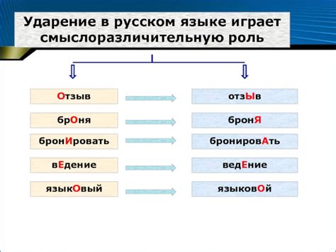 Роль ударения в русском языке