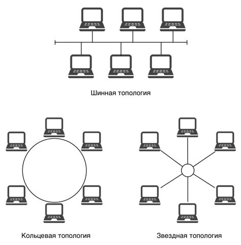 Роль узла в компьютерной сети