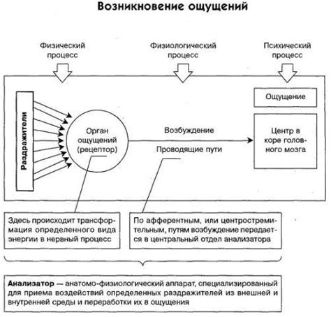 Роль фактурных ощущений в человеческом восприятии