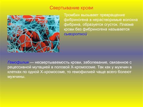 Роль фибриногена в кровотворении