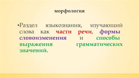 Роль формы словоизменения в определении смысла слова