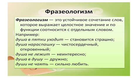 Роль фразеологизмов в речи и подходы к изучению