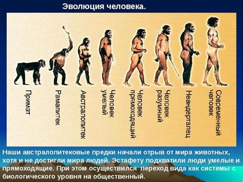 Роль числа 27 в истории человечества