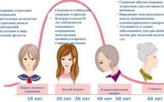 Роль эстрогенов в женском организме