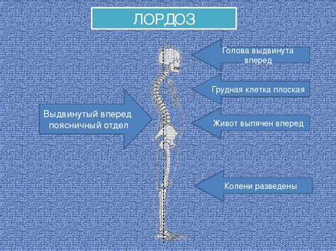 Рот расслаблен, подбородок слегка выпячен вперед