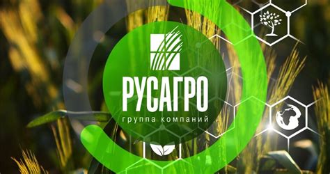 Русагро: роль и значение сокращения