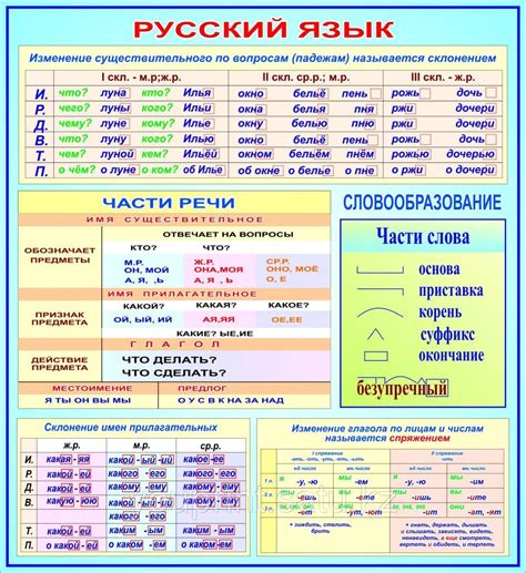 Русская грамматика: основные правила