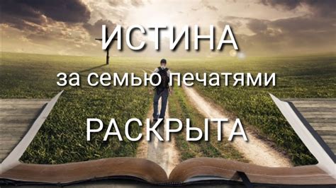 Сакральные значения снов о обилии щенков в доме: разгадка скрытого значения