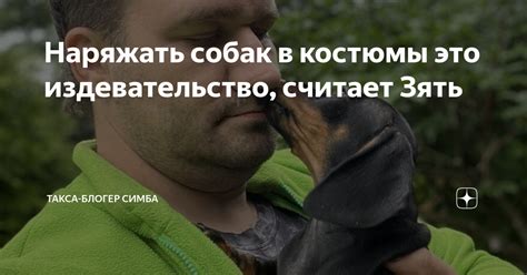 Самосознание собак: их издевательство в смехе
