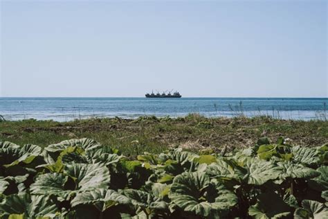 Сахалин: необычный остров в Японском море