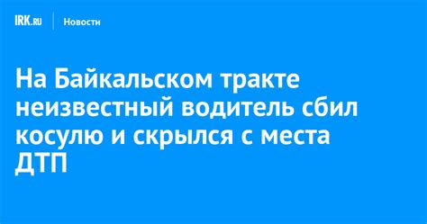 Сбил косулю и уехал