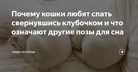 Свернувшись клубочком и уют: умение создавать комфорт