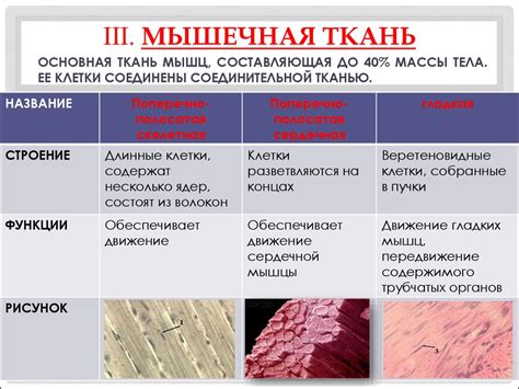 Свойства и особенности первой категории ткани