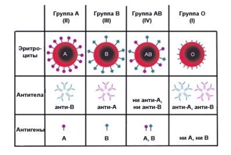 Связь группы крови на рукаве с процедурами переливания крови