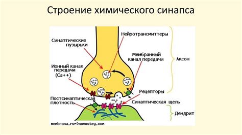 Связь лабиринта отражений с психологией