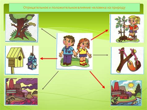 Связь между овощем и человеком