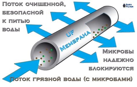 Связь между процессом очищения в воде и культурными обрядами
