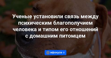 Связь между психическим миром и предначертанностью человека