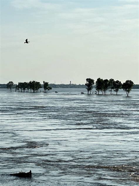 Связь между сновидениями о снижении в глубину воды и эмоциональным состоянием