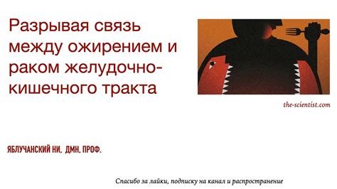 Связь между функционированием желудочно-кишечной системы и символикой сновидений