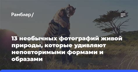 Связь мечт и стремлений с необычными образами природы