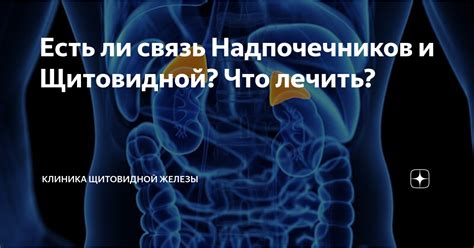 Связь надпочечников и бесплодия: ключевые моменты