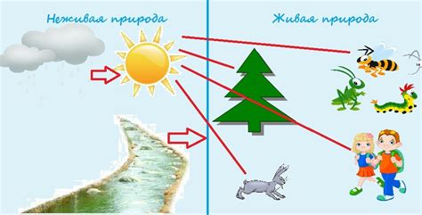 Связь сбора плодов природы в окружающем нас месте с женской энергией и внутренним ведением