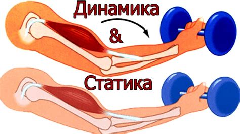 Сегментация тела в спорте