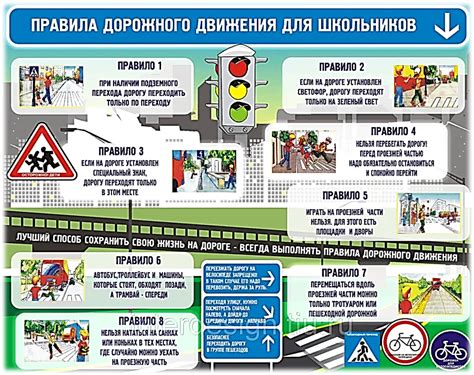 Сезонность и типоразмеры: ключевые факторы для безопасности на дороге