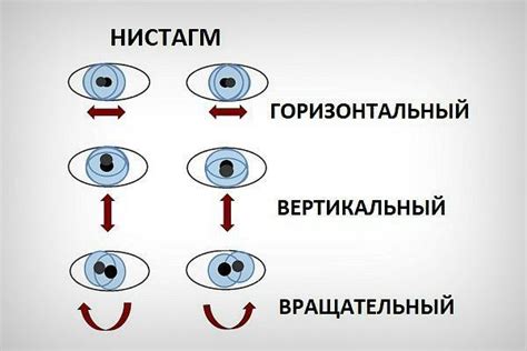 Секреты глазных движений и их значения